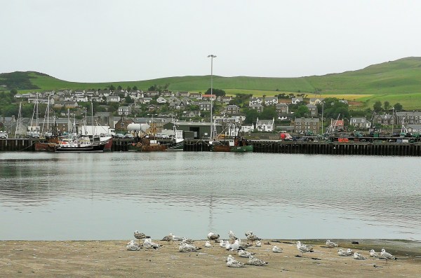 NotesScotlandCampbeltown5.jpg