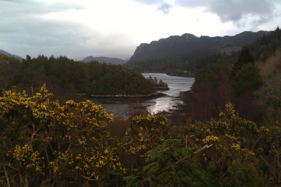Plockton1